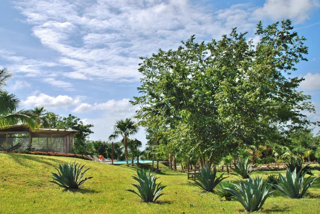 Hotel El Chital Raudales Exterior foto